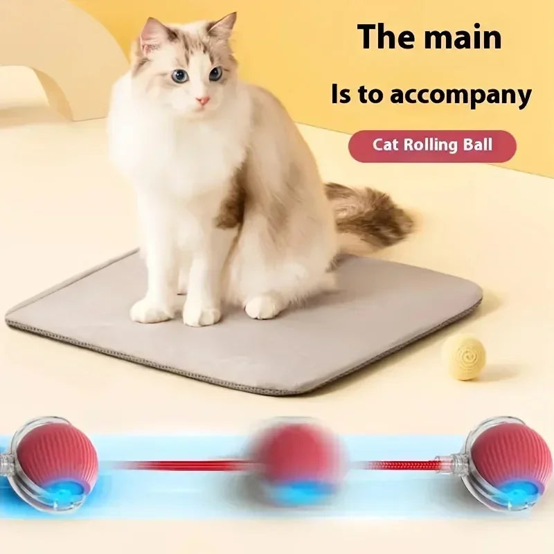 Cat Interactive Ball Toy Automatic Rolling Ball Faux Tail Rechargeable Pet Electric Toy Dog Cat Training Imitate Mouse Products Oasis Select