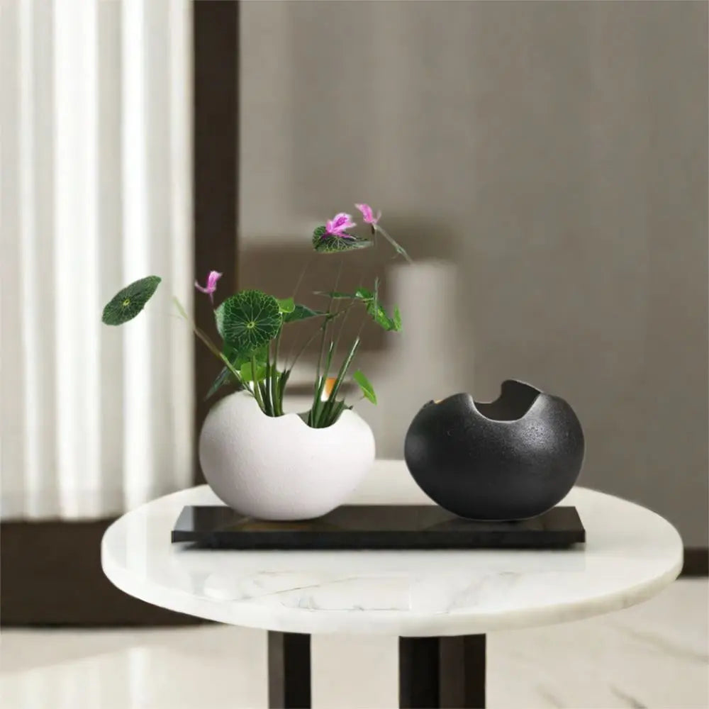 Ceramic Eggshell Succulent Planter | Bonsai Flower Pot Decor Ceramic Succulent Planter Oasis Select