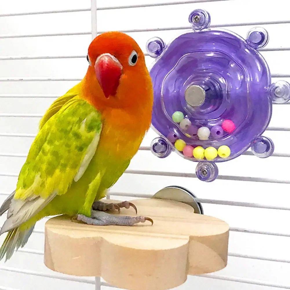 Parrot Wheel Parrot Interactive Toy Bird Turntable Hang Toys Sounding Ball Toys Stand Playing Cage Accessories Pet Supplies Bird Oasis Select