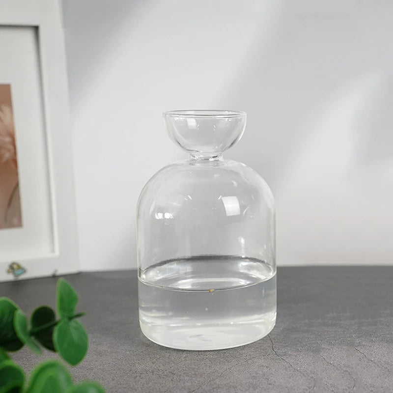 Avocado Seed Starter Vase Transparent Glass Vase Vase For Growing Plant Glass Seed Growing Kit For Gardening Lovers Oasis Select