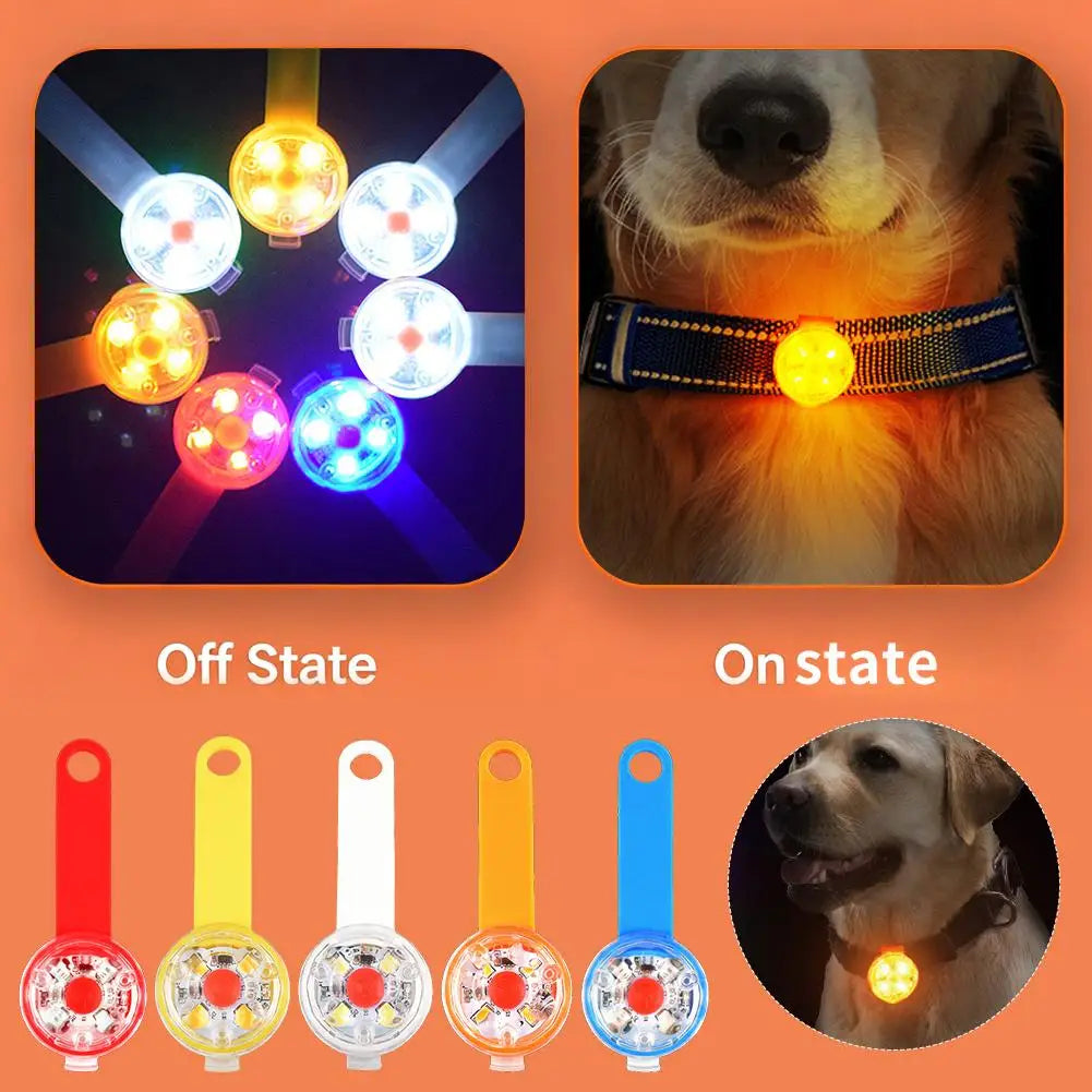 Rechargeable LED Dog Collar Light – Waterproof Night Safety Pendant