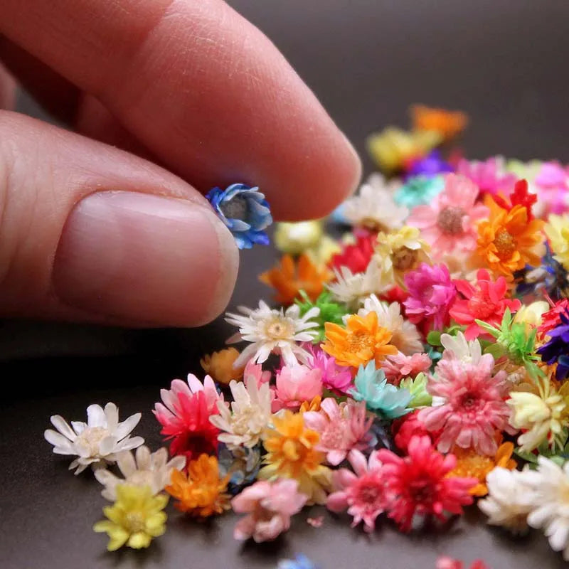 1box Small Resin Dried Flowers - Ideal for DIY Jewelry Earrings, Epoxy Art & Candle Making Art Craft Home Decor Photo Prop Oasis Select Default Title