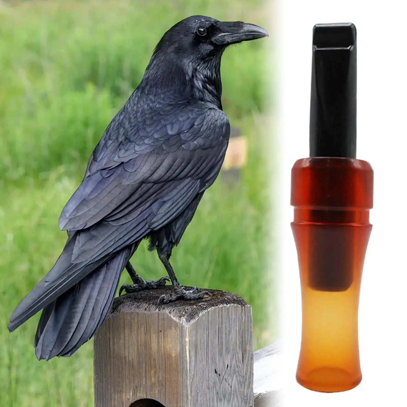 Bird Call Whistle Crow Locator Call Hunting Bird Caller Bait Game for Hiking Wildlife Training Tracking Outdoor Travel Survival Oasis Select