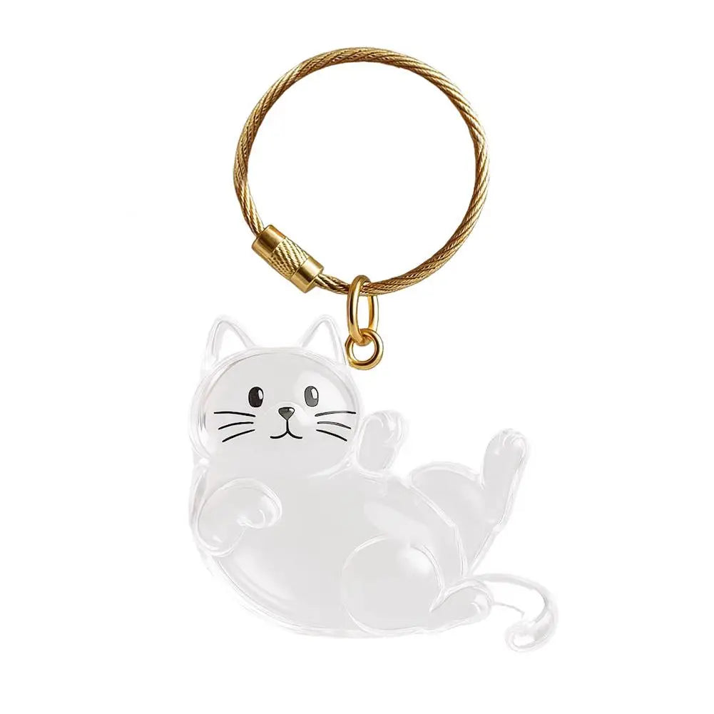 Cat Hair Storage Keychain | Transparent Acrylic Capsule Pendant