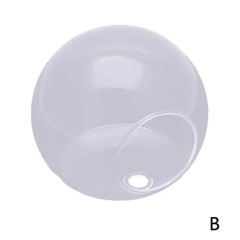 Wall Mounted Hydroponic Vase Betta Fish Tank Creative Acrylic Planter For Home Office Wall Decoration Space Saving Tools Oasis Select 12cm