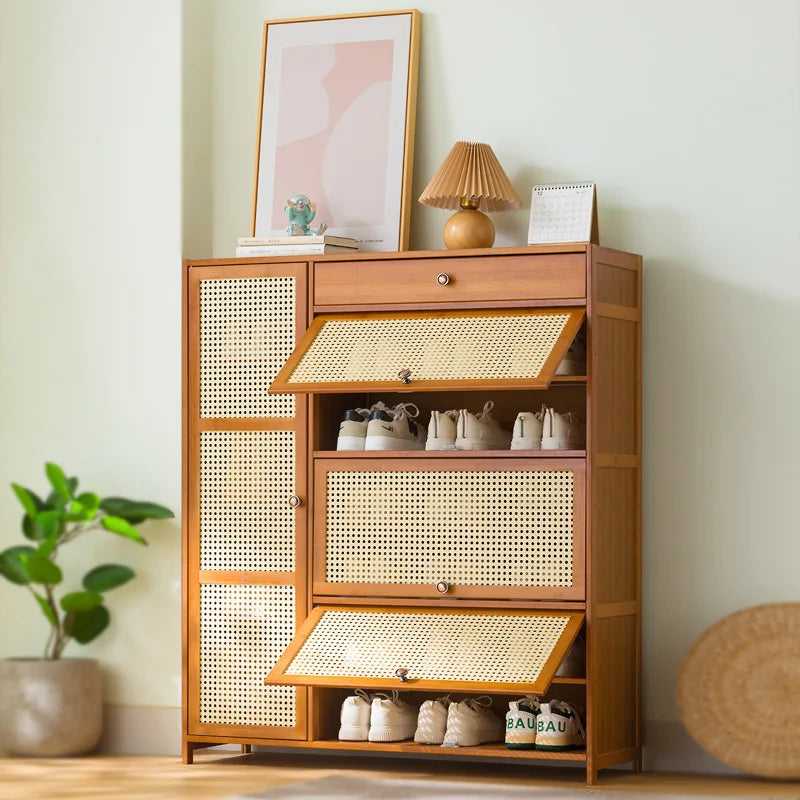 rack household economical indoor simple door storage artifact large capacity multi-layer with cabinet door dust shoe cabinet Oasis Select 4-100 1