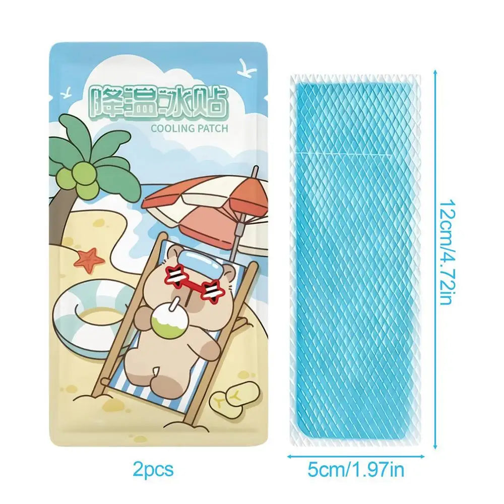 2Pcs Summer Cooling Patches for Hot Reducer Stickers Instant Relief Cooling Patch for Sports Travel Camping Hiking Walking Oasis Select 2Pcs