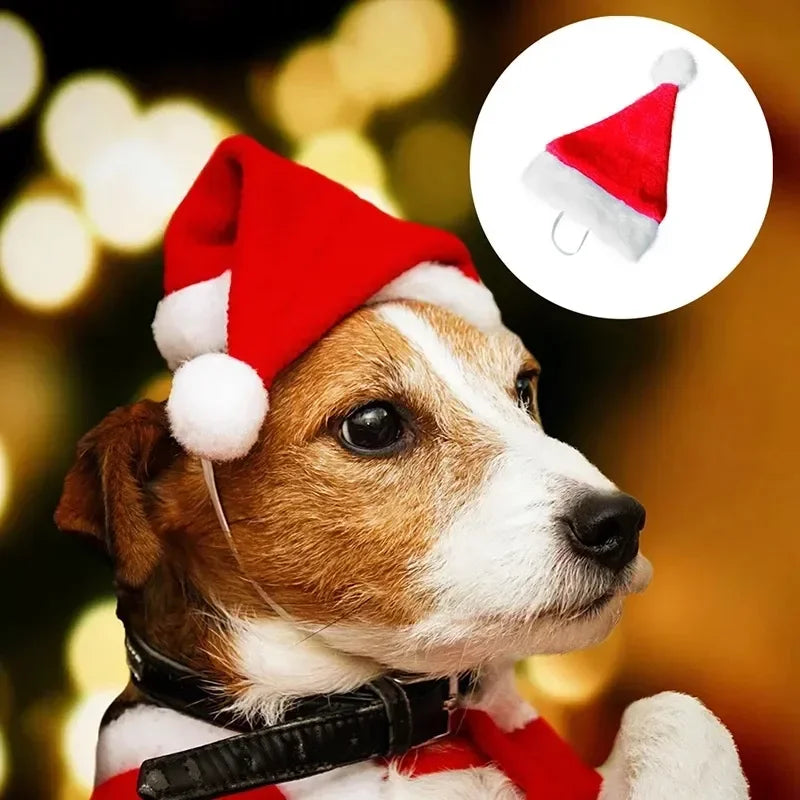 50PCS Christmas Pet Dog Cat Santa Hat Cosplay Hats Pet Costume Ornaments Christmas Party Pet Supplies Christmas Decorations Oasis Select