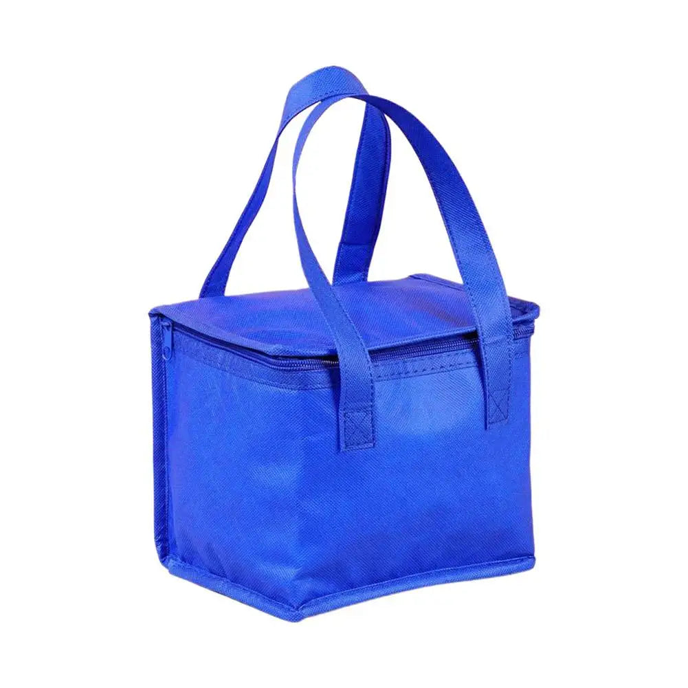 Insulated Cooler Bag S/M/L – Waterproof Thermal Lunch Tote