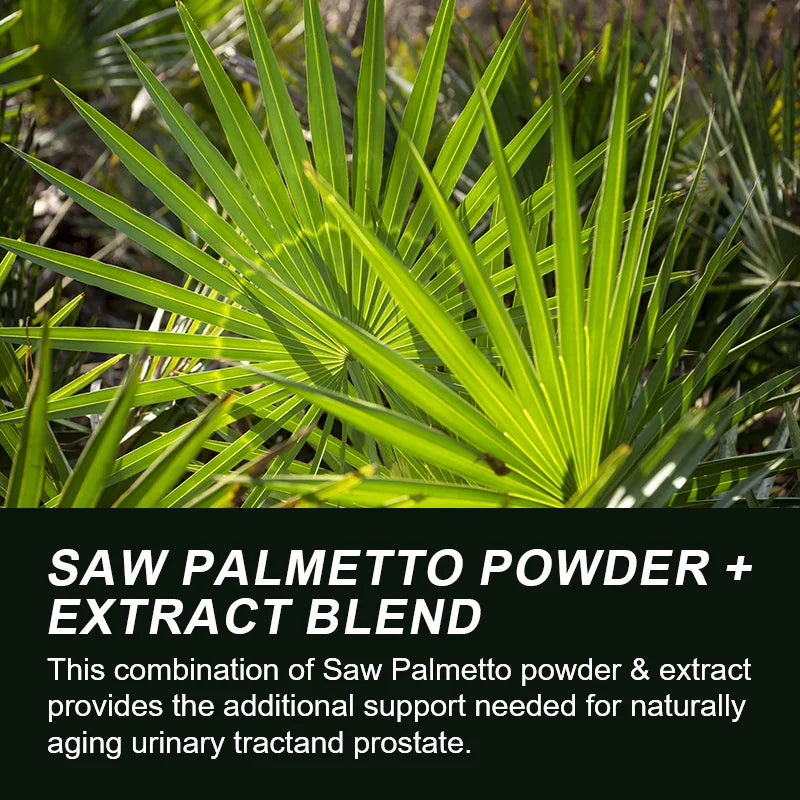 BEWORTHS Saw Palm Supplement Helps Promote Prostate Health & Prevent DHT Hair Loss No Gluten,Non-gmo Hair Growth Oasis Select