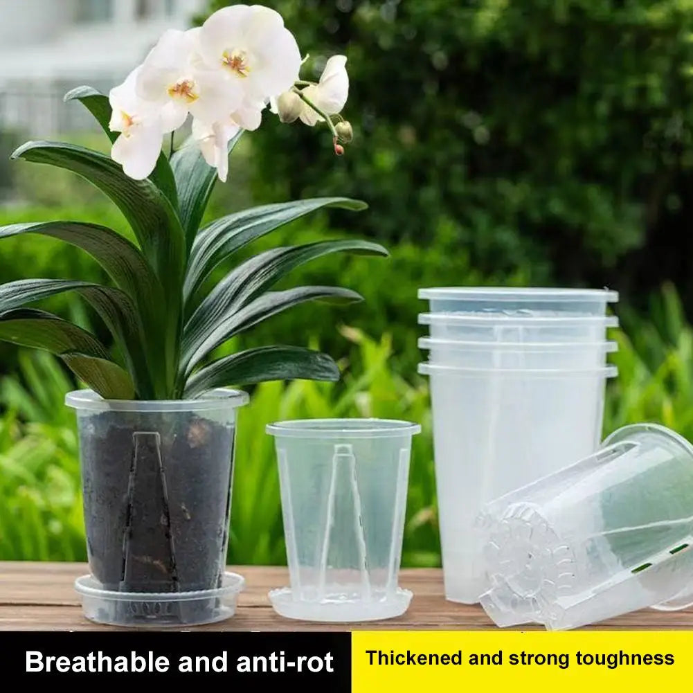 Clear Orchid Planter Pot – PP Plastic, Air Holes & Drainage