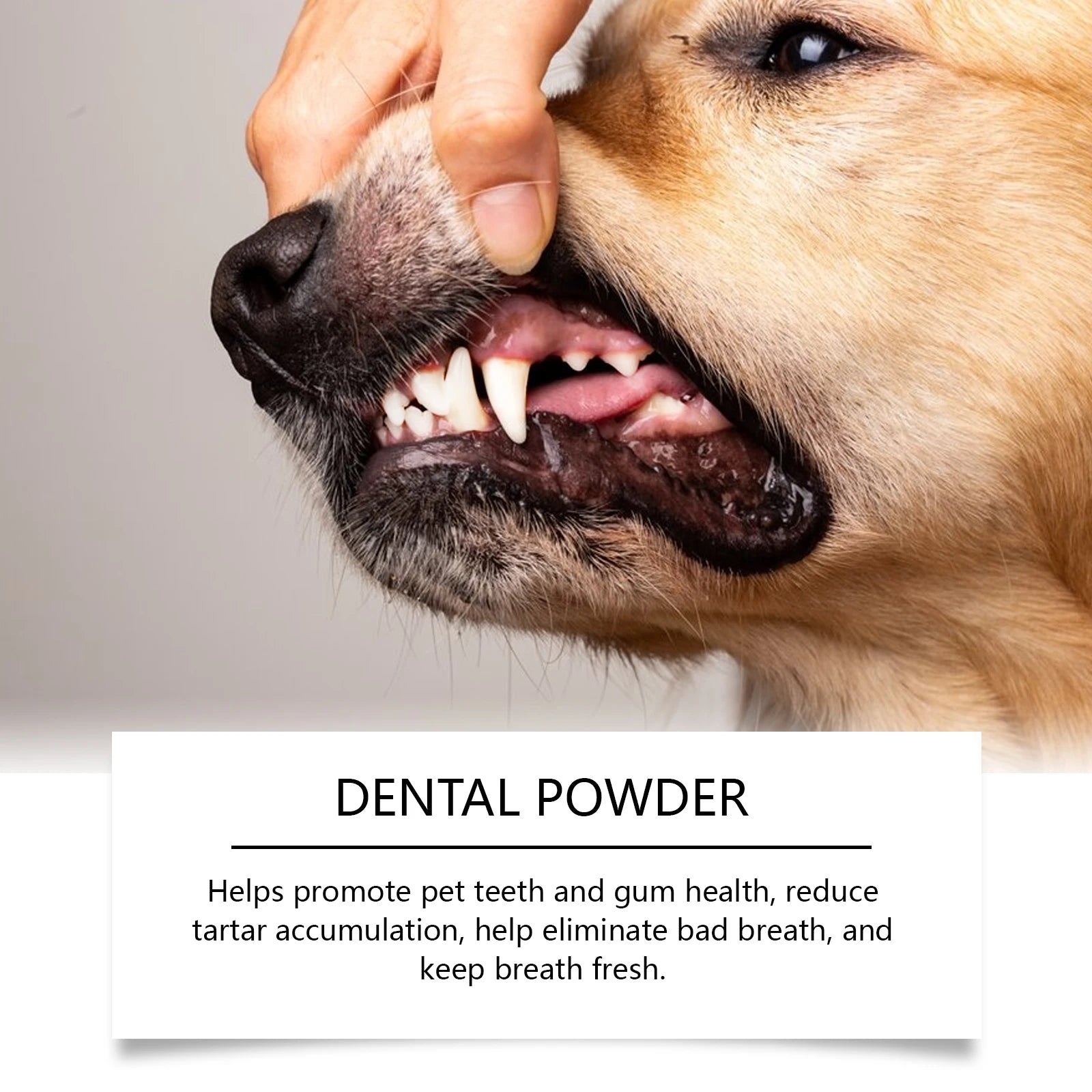 Pet Dental Powder 150g Enzymes & Probiotics Plaque & Tartar Control Breath Freshener for Dogs Oral Care Dog Cleaning Products Oasis Select