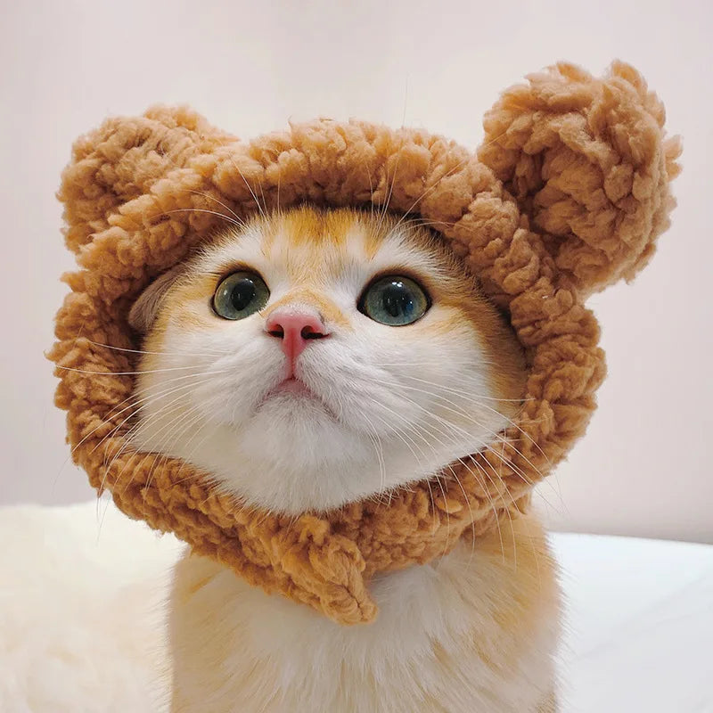 Internet Celebrity Pet Cat Lion Head Rabbit Ears Frog Bear Pet Hat Funny Headwear Oasis Select Brown bear S
