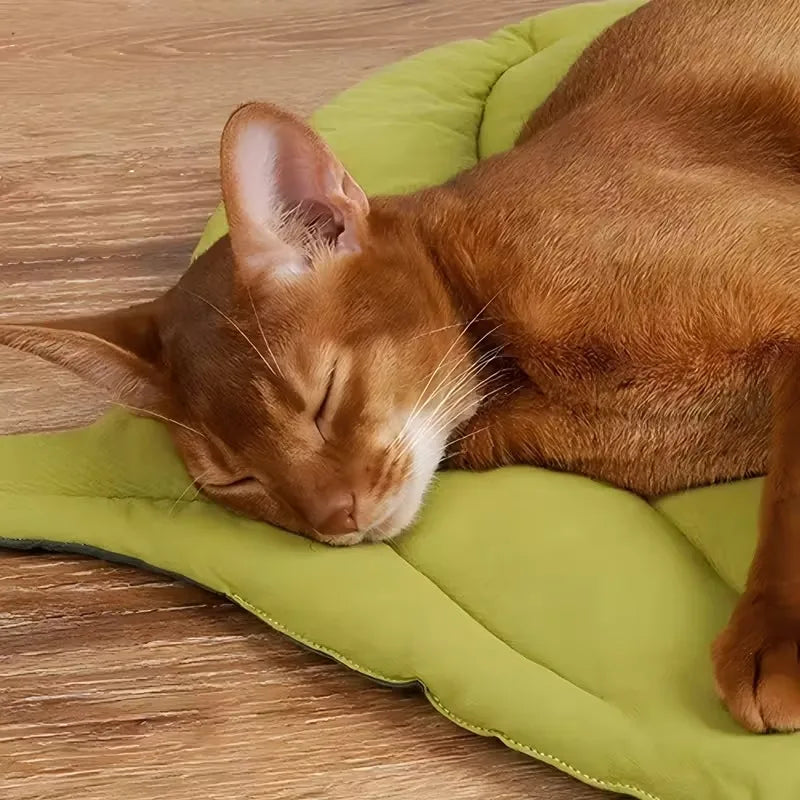 1-8PCS Thick Cotton Leaf Shape Pet Mat Cat Bed Dog Crate Pad for Cage Soft Washable Anti Slip Floor Mat for Puppy Kitten Oasis Select