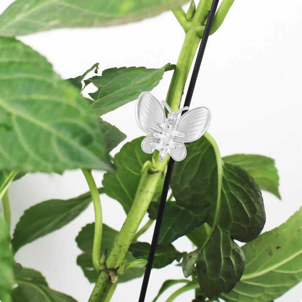 10Pcs Plant Clips Vine Clamp Plant Vine Climbing Fixed Support For Grafting Tomato Butterfly Orchid Flowers Clip Garden tools Oasis Select