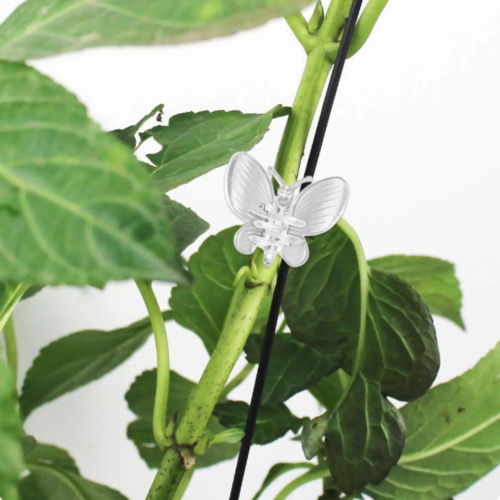 10Pcs Plant Clips Vine Clamp Plant Vine Climbing Fixed Support For Grafting Tomato Butterfly Orchid Flowers Clip Garden tools Oasis Select
