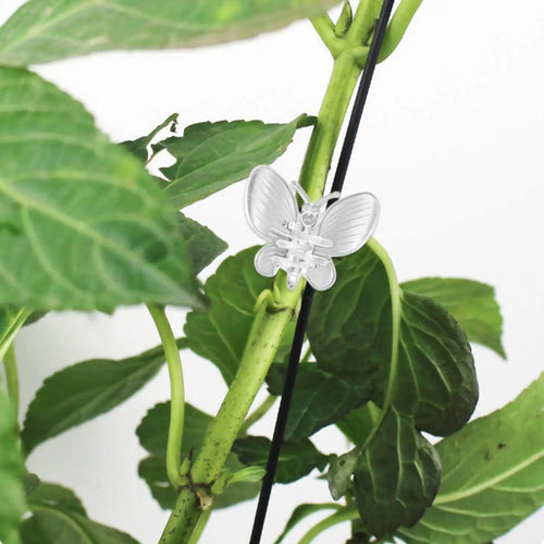 10Pcs Plant Clips Vine Clamp Plant Vine Climbing Fixed Support For Grafting Tomato Butterfly Orchid Flowers Clip Garden tools Oasis Select