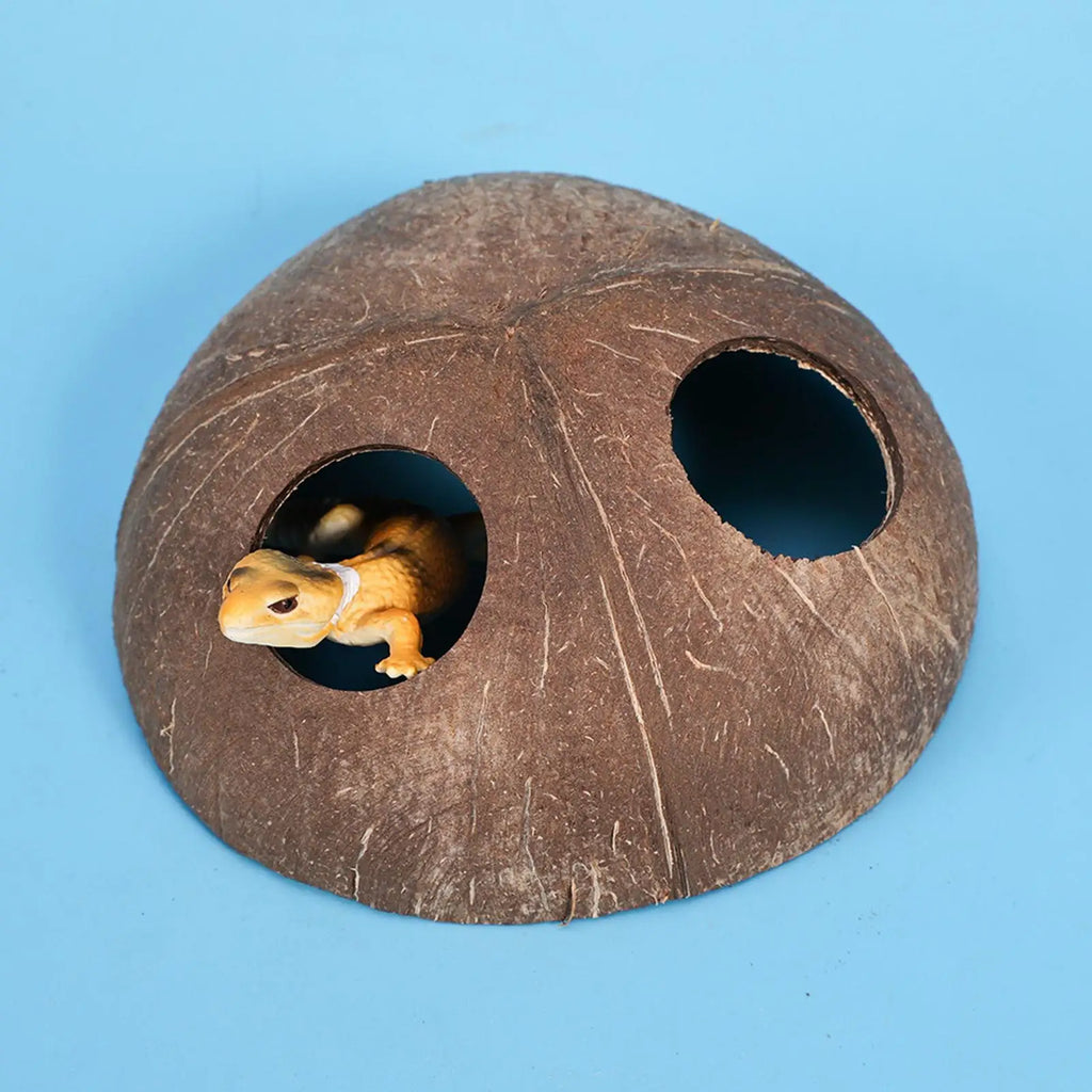 Natural Coconut Shell Reptile Hiding Cave – Turtle & Lizard Hide
