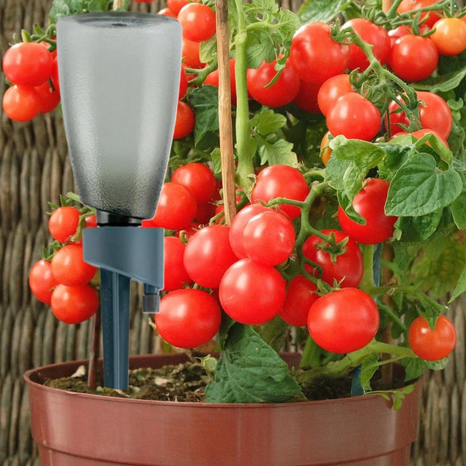 Self Watering Spikes 6 Pieces Automatic Irrigation Dripper with Control Valve Watering Stakes for Outdoor Garden Yard Balcony Oasis Select