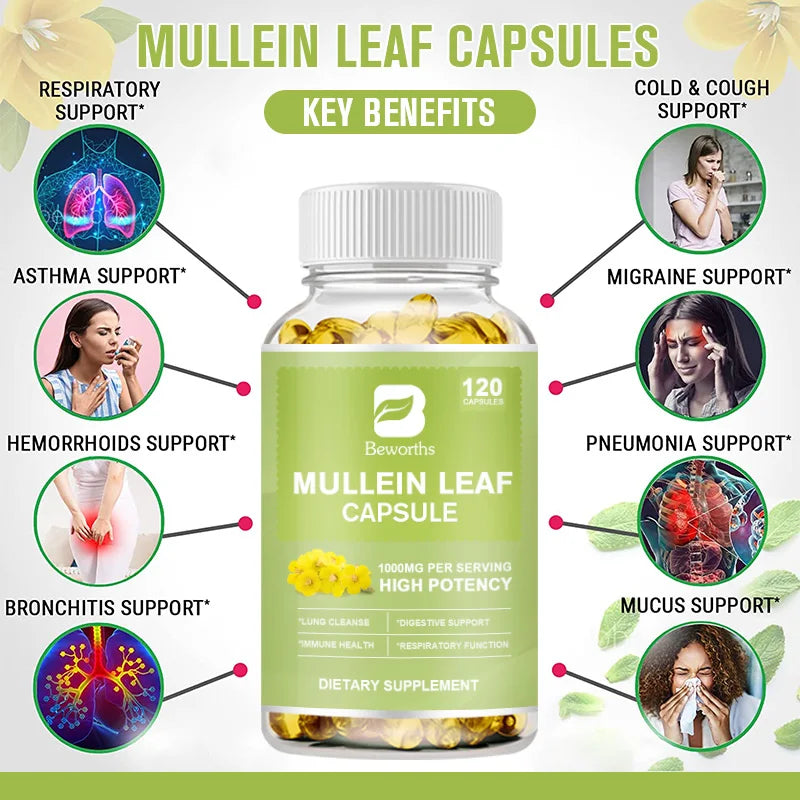 BEWORTHS Natural Mullein Leaf Capsules Support Immune and Digestive Health Lung Cleansing Relieve Asthma,Respiratory & Cough Oasis Select