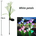 Solar LED Lily Flower Garden Light | IP65 Waterproof Pathway Lamp
