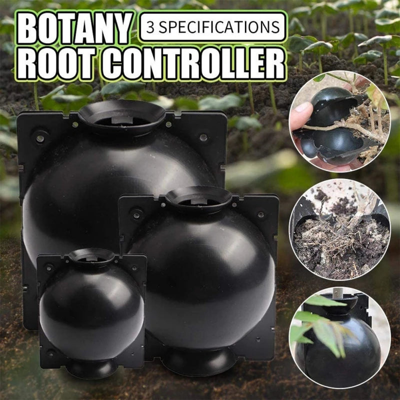 6pcs Garden Orchard Plants Grafting Rooting Box Reusable Plant Root Growing Box Breeding Equipment Propagation Ball for Sapling Oasis Select M