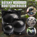 6pcs Garden Orchard Plants Grafting Rooting Box Reusable Plant Root Growing Box Breeding Equipment Propagation Ball for Sapling Oasis Select M