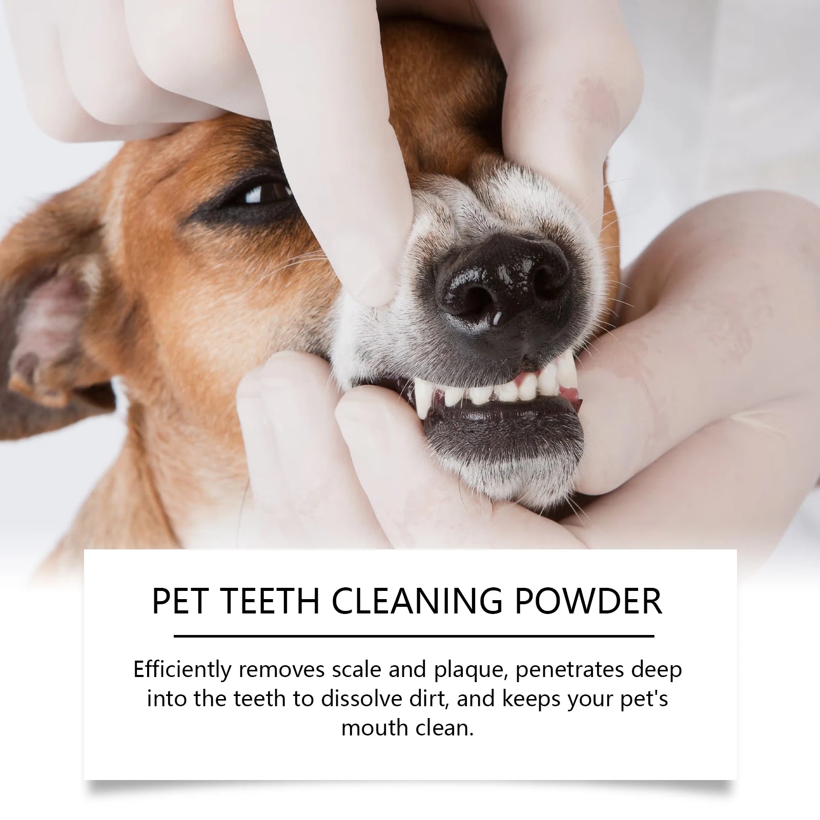 YEGBONG Pet Teeth Cleaning Powder – Plaque & Fresh Breath 100g Pet Dental Powder Oasis Select