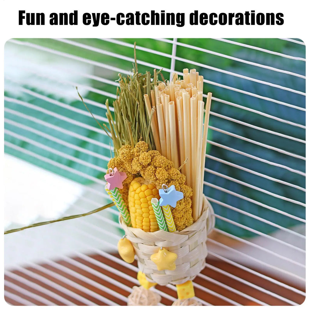 Bird Toys Foraging Chew Pet Supplies Colorful Husk Parrot Toys for Mental Play Training Indoor Finches Lovebirds African Grey Oasis Select