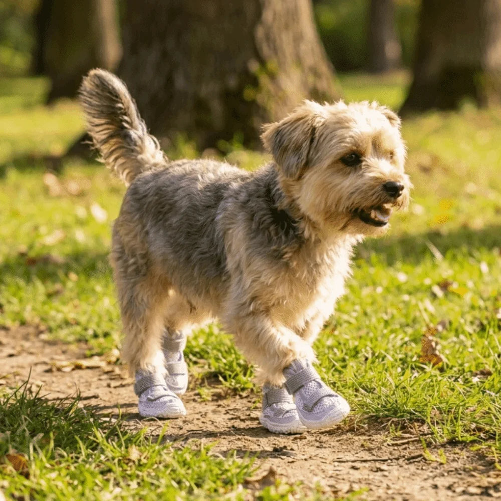 4PCS/SET Breathable Anti Slip Dog Shoes Adjustable Comfortable Pet Sandals Wear-resistant Dog Mesh Shoes Hot Pavement Oasis Select