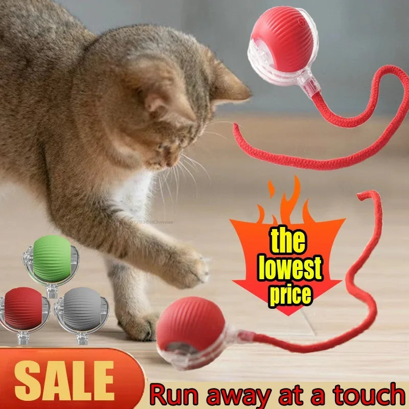 Cat Interactive Ball Training Self-moving Kitten Electric Cat Ball Toys Electronic Automatic Rolling Magic Ball Toys for Cat Oasis Select