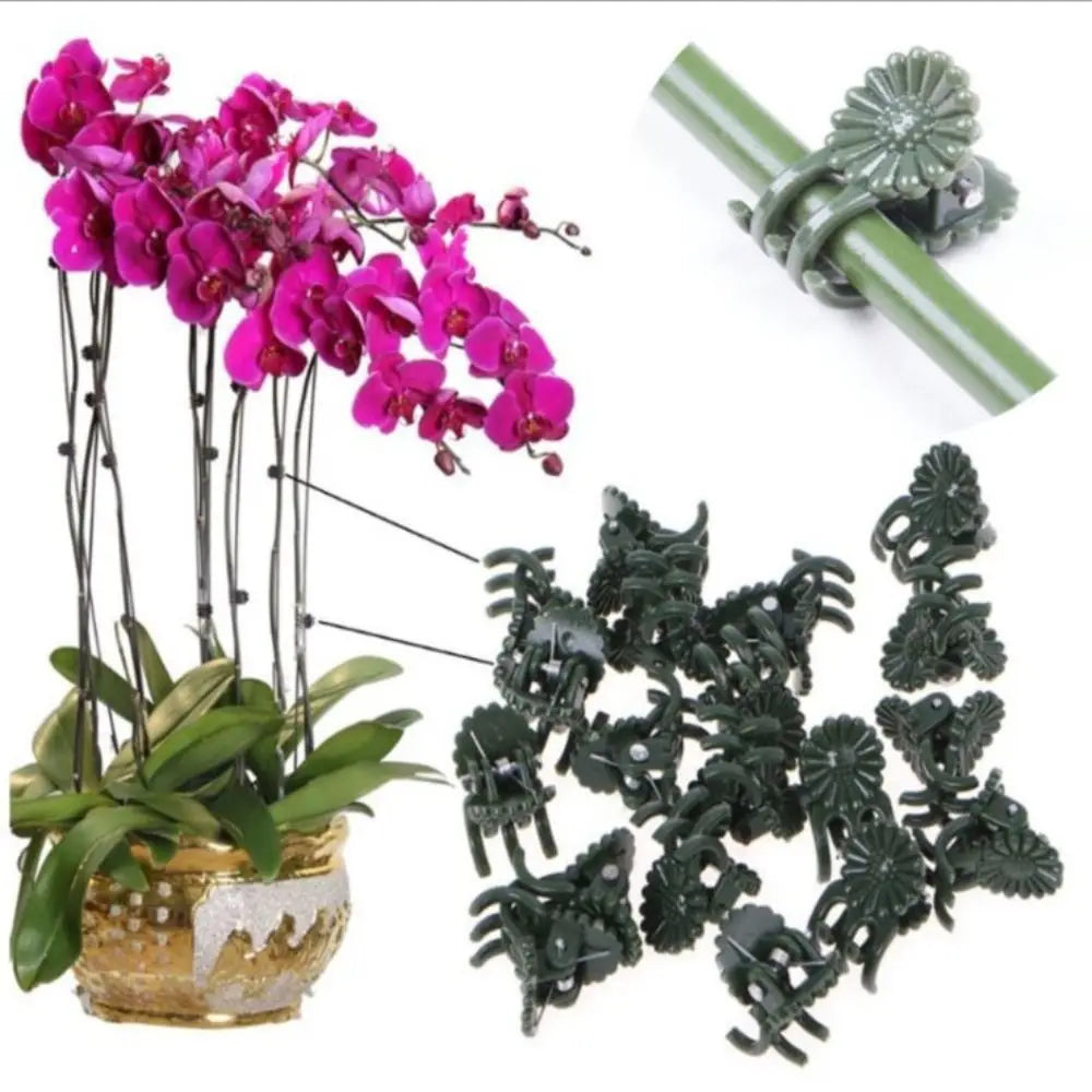 50-Pack Plant Support Clips – Vine, Orchid & Stem Clamps