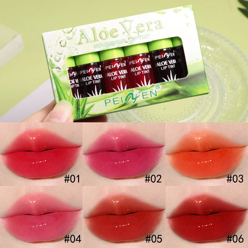 6-Pack Aloe Vera Tinted Lip Oil Set – Hydrating Lip Glaze Tinted Lip Oil Set Oasis Select