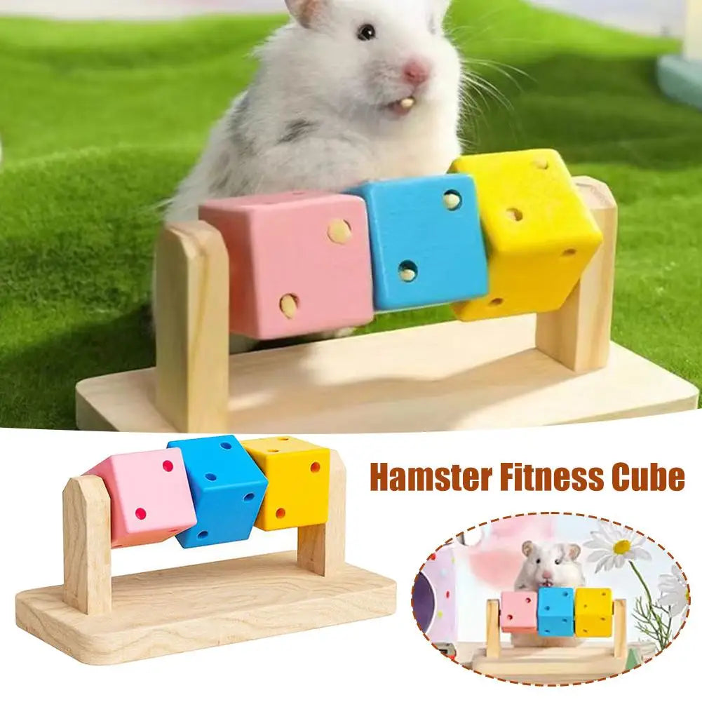 Hamster Fitness Cube Colorful Multi Faceted Activity Stress Relieving And Anti Depressant Toys For Hamster Sports Oasis Select