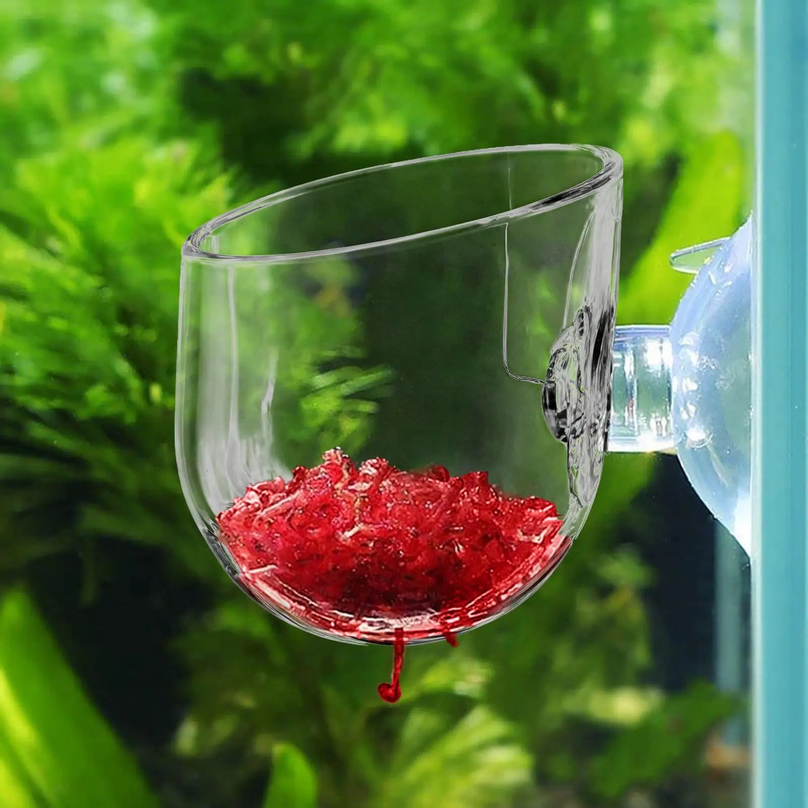 aquarium plant Cup Hanging fish tank Water potted planting cylinder cup aquarium plant holder Aquarium decoration Oasis Select
