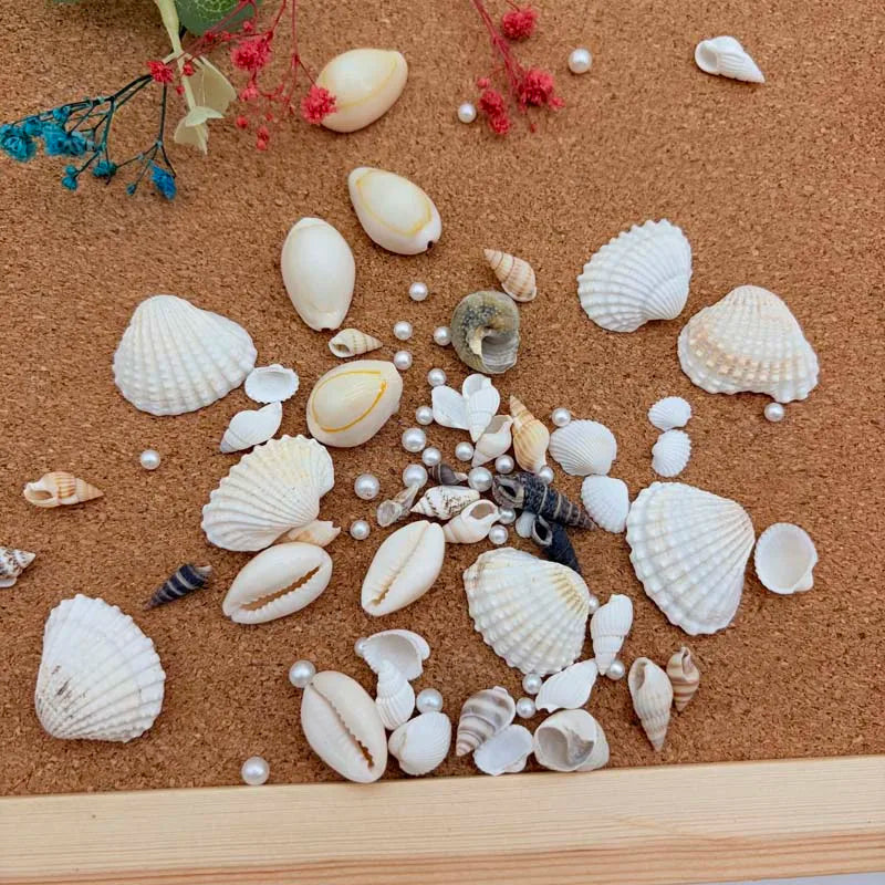 1 Box Mix Resin Simulation Pearls Shell For Home Decoration DIY Craft Photo Frame Friend Gifts Drift Bottle Aquarium Decorations Oasis Select