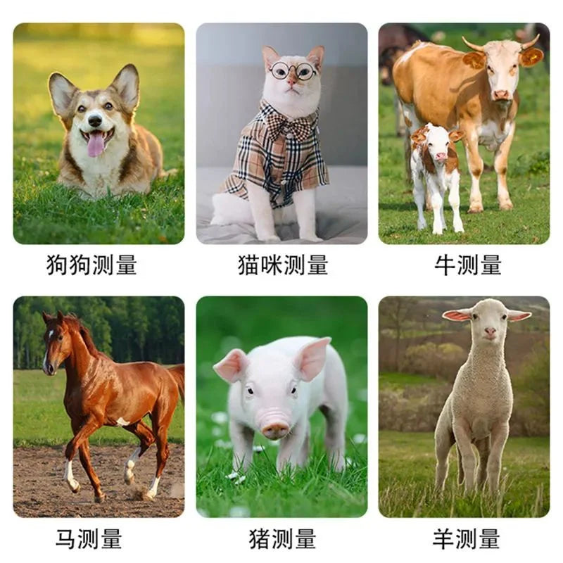 Thermometer Veterinary Equipment Electronic Body Product Contactless Non-Contact Pet Dog Infrared Digital Instant Read Medical Oasis Select