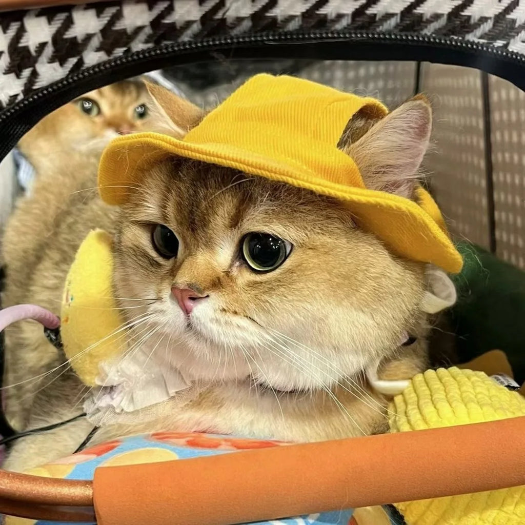 Cat Pet Hats, Sun Hats, Sun Protection Camping Dog Hats, Denim Cotton Fisherman Hats cat hat dog birthday Oasis Select Yellow L