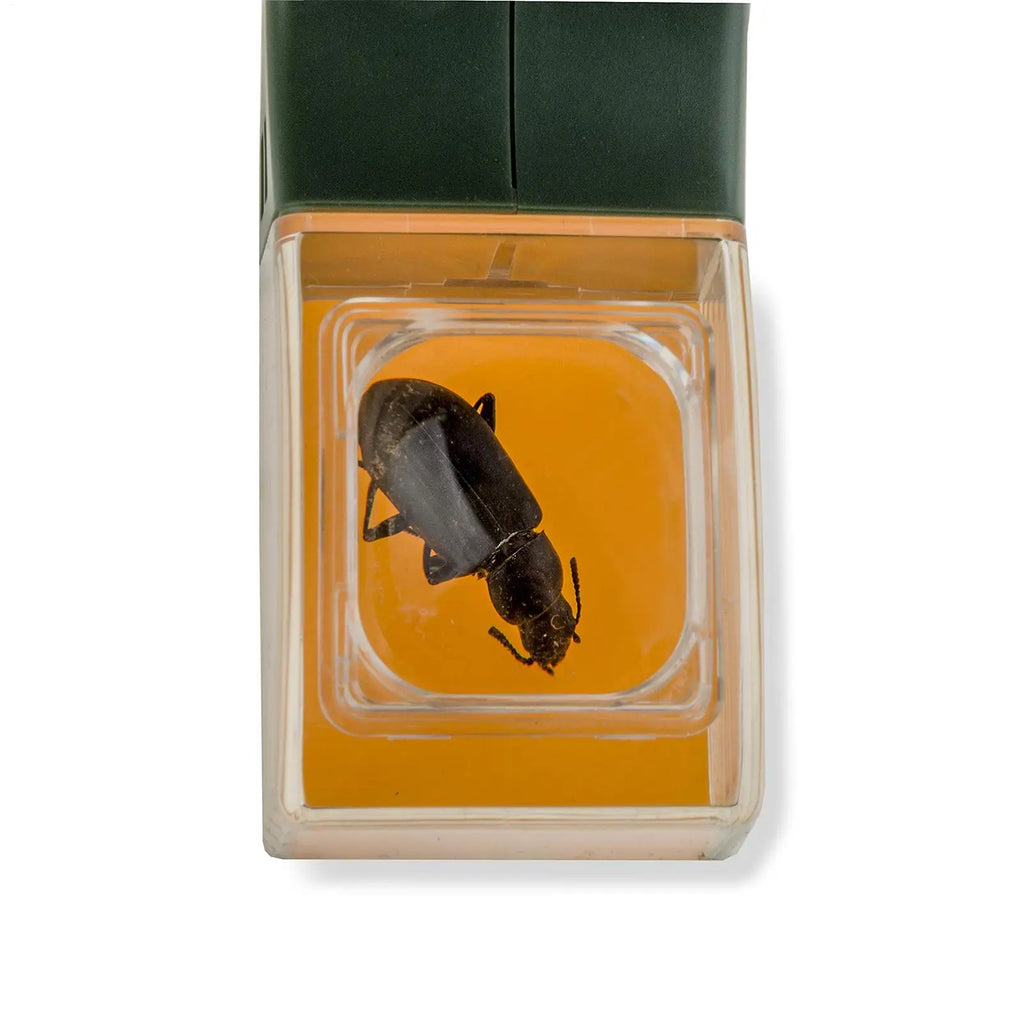 Insect Catcher With Magnifying Fly Grabber Spider Catcher Bug Insect Catching Tool Bee Clamp Insect Catching Insect Trap Oasis Select