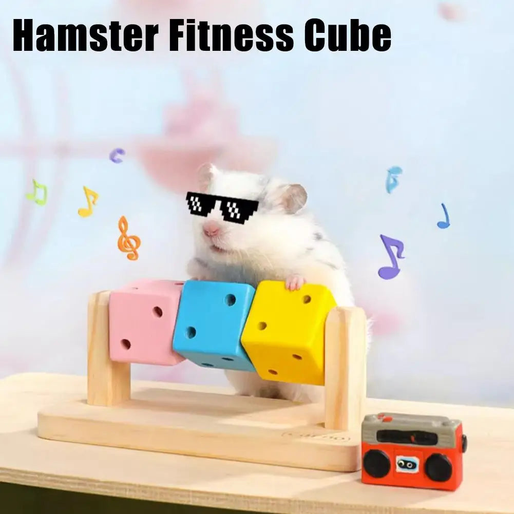 Hamster Fitness Cube Colorful Multi Faceted Activity Stress Relieving And Anti Depressant Toys For Hamster Sports Oasis Select