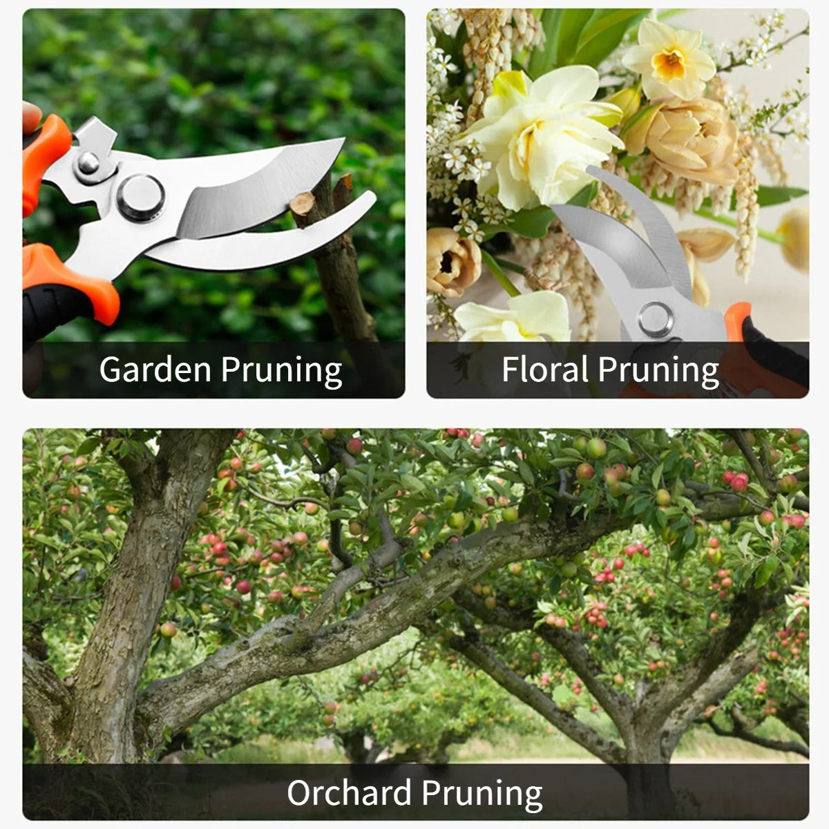 Heavy Duty Pruning Shears Stainless Steel Garden Scissors Fruit Tree Bonsai Trimmer Ergonomic Non-Slip Grip Plant Care Tools Oasis Select
