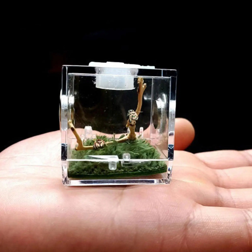 Small Reptile Feeding Box Transparent Acrylic Jumping Spider Breeding Box Habitat Small Insect Container Humidifier Feeding Box Oasis Select