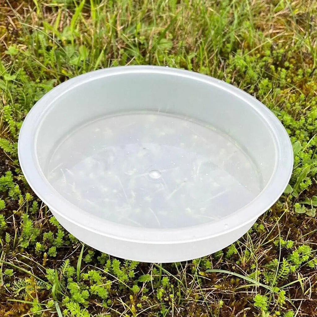 Round Treat Bowl Bird Feeder Tray Bird Feeding Tray Replacement for Sparrow Finch Lovebird Garden Park Courtyard Terrace Outdoor Oasis Select