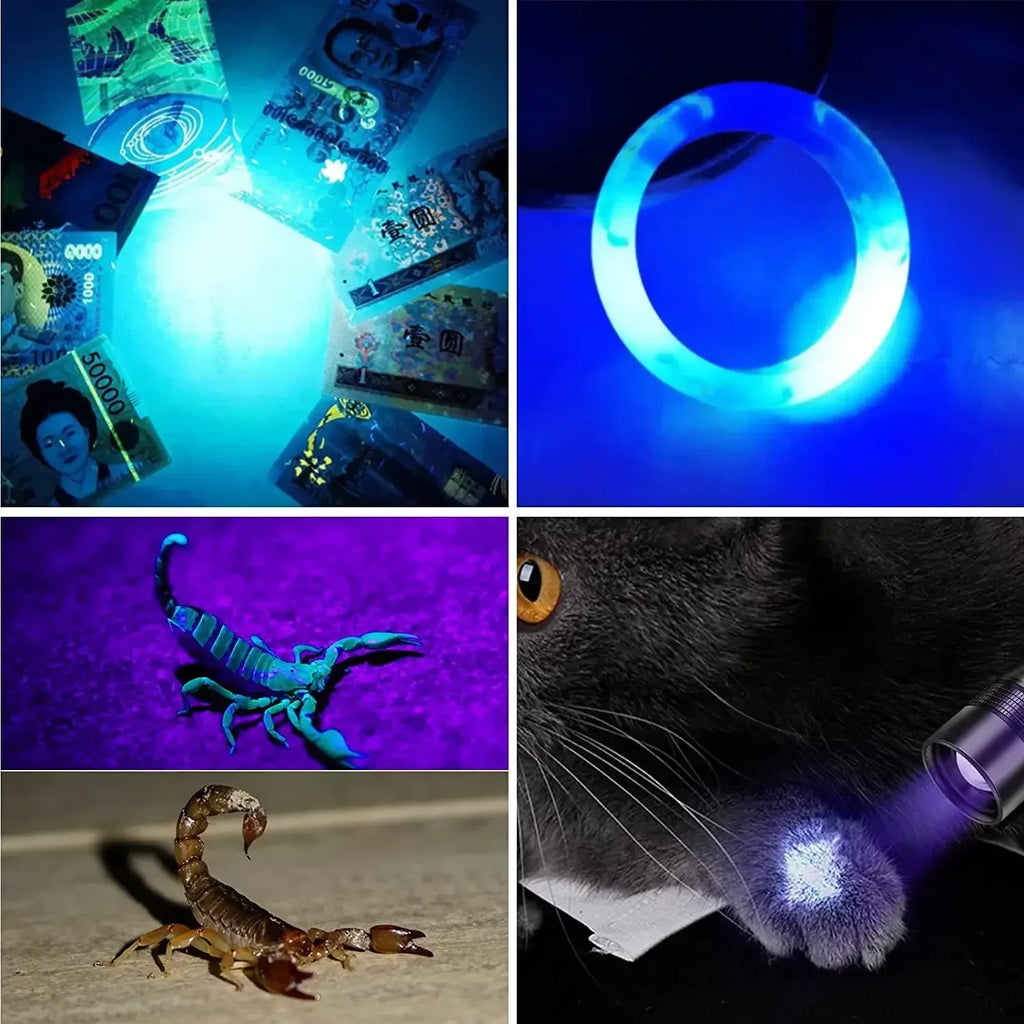 UV Light High Power Led Flashlight USB Rechargeable Camping Lantern Pets Urine Stains Black Light Led Ultraviolet Torch Lamp Oasis Select