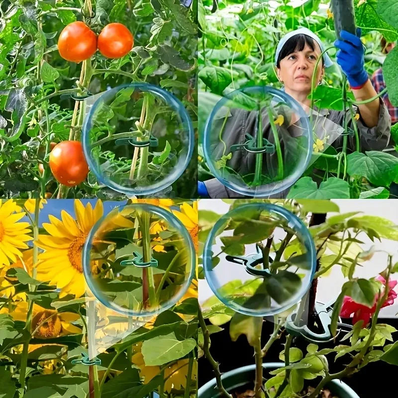 20ps Plant Fixed Clips Reusable Garden Greenhouse Bracket Garden Plants Vine Climbing Clamp Flower Tomato Support Fastener Oasis Select