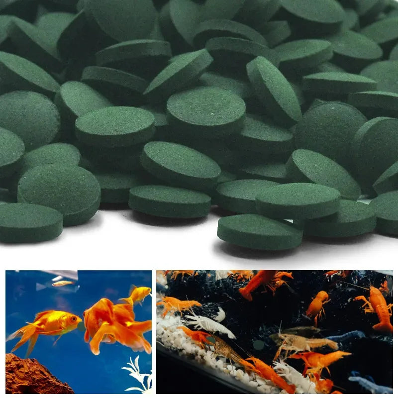 50/200/400/600PCS Spirulina Flakes Spirulina Catfish Tropical Veggie Algae Wafers Bulk Fish Food Feed Hot Oasis Select