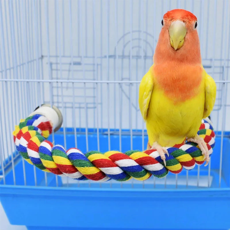 Pet Bird Standing Toys for Parrots Cockatiel Agapornis Parakeet Perch Bird Cages Accessories Bendable Swing Rope Perching Sticks Oasis Select