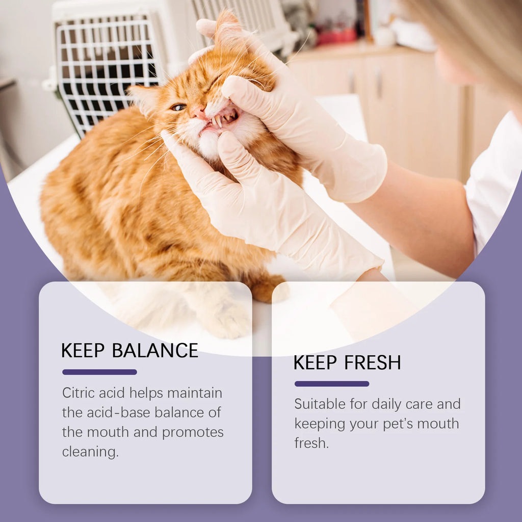 Pet Oral Repair Gel Remove Dental Stains Keep Pet Breath Fresh Reduce Tooth Yellowing Reduce Odor Portable Pet Oral Cleaner 3ml Oasis Select