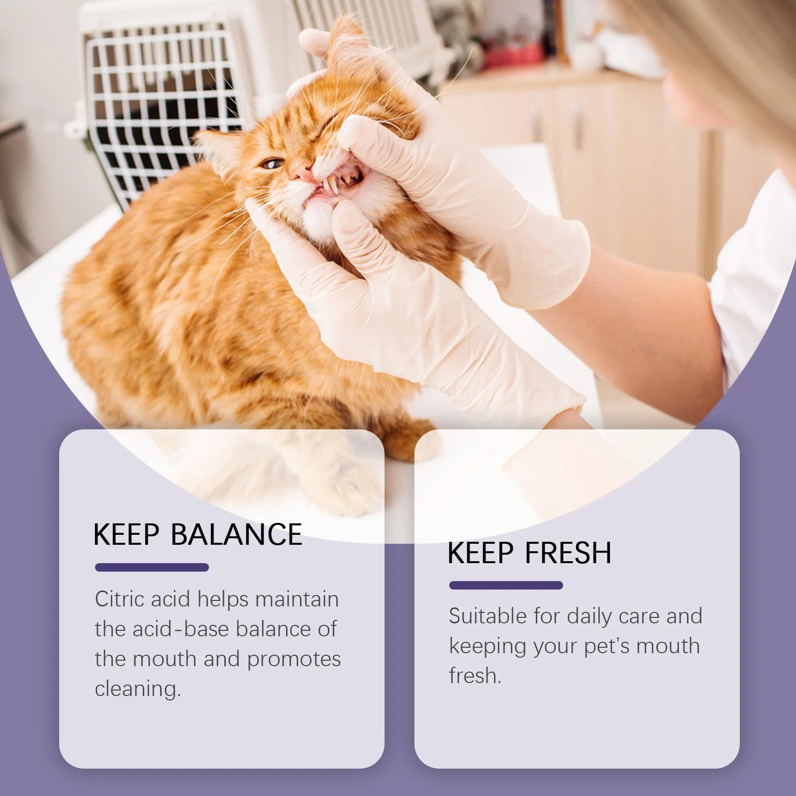 Pet Oral Repair Gel Remove Dental Stains Keep Pet Breath Fresh Reduce Tooth Yellowing Reduce Odor Portable Pet Oral Cleaner 3ml Oasis Select