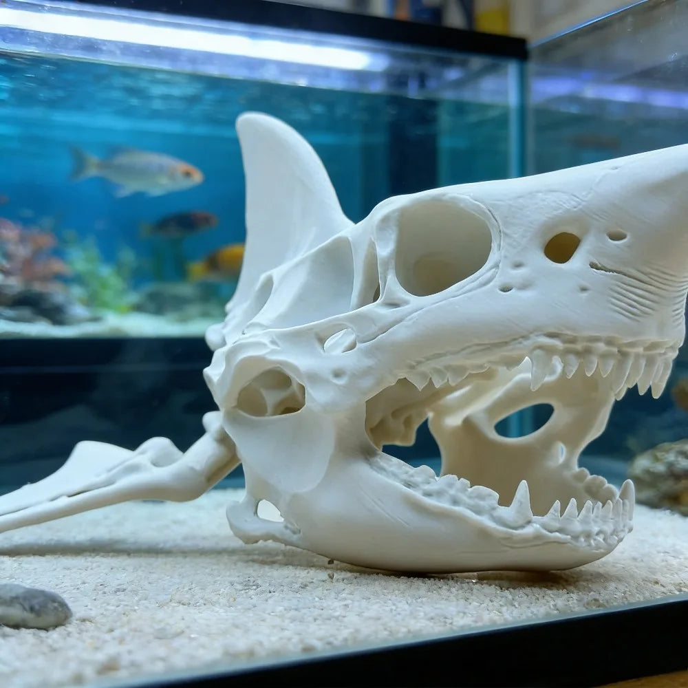 3D Printing Shark Skull Skeleton Cosplay Props Aquarium Ornaments Fish Tanks, Reptiles Fish Tank Landscapes Fish Shrimp Shelter Oasis Select
